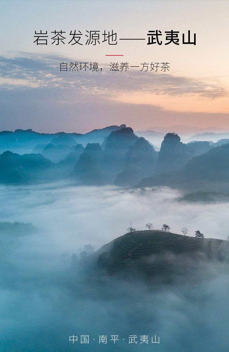 Miniature : Chen Cha/Aging Tea, Wuyi Rock Tea Wholesale