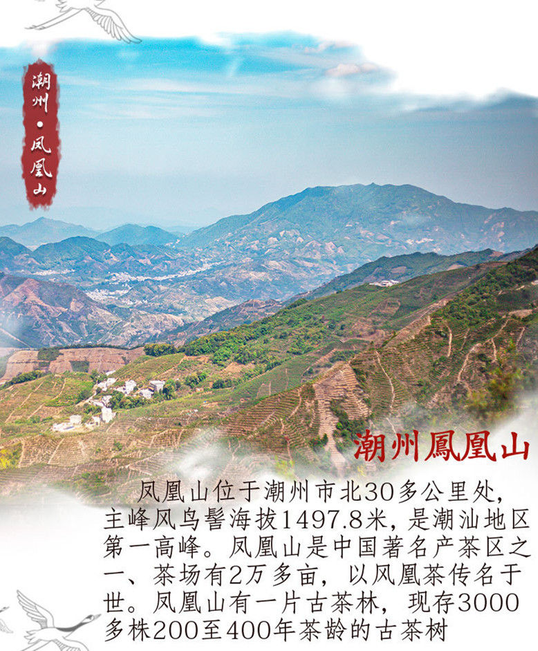 Thumbnail: TuanShuYe Dancong(Rare Tea), Feng Huang Dan Cong Oolong Tea Wholesale