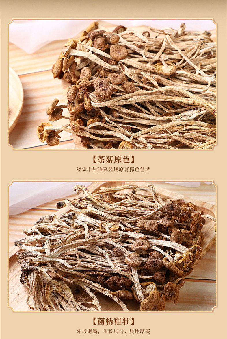 Thumbnail: Tea Tree Mushroom (Agrocybe Aegerita),Chinese Herb  Wholesale