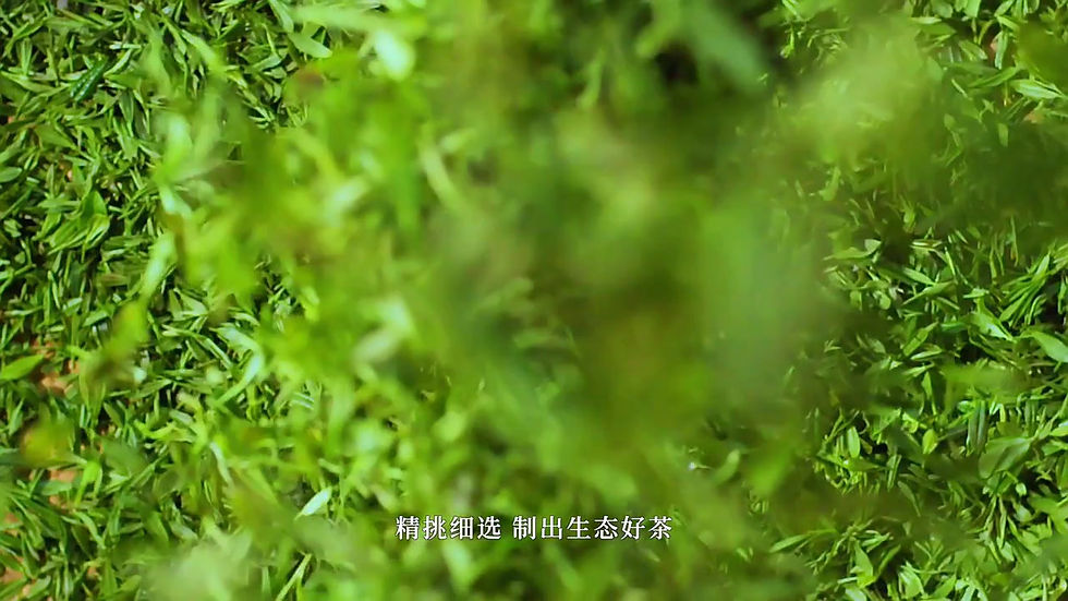 Miniaturbild: Huo Shan Huang Ya Tea, Chinese Yellow Tea Wholesale