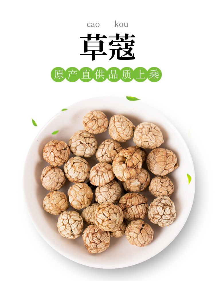 Miniaturbild: Cao Dou Kou (Semen Alpiniae Katsumadai),Chinese Herb  Wholesale