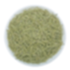 Thumbnail: Rosemary, Chinese Herbal Tea Wholesale