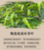 Thumbnail: Agarwood Tea, Tea farm Wholesale