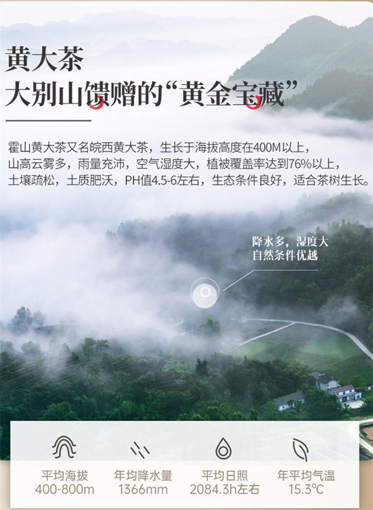 Miniatura: Huo Shan Huang Da Cha, Chinese Yellow Tea Wholesale