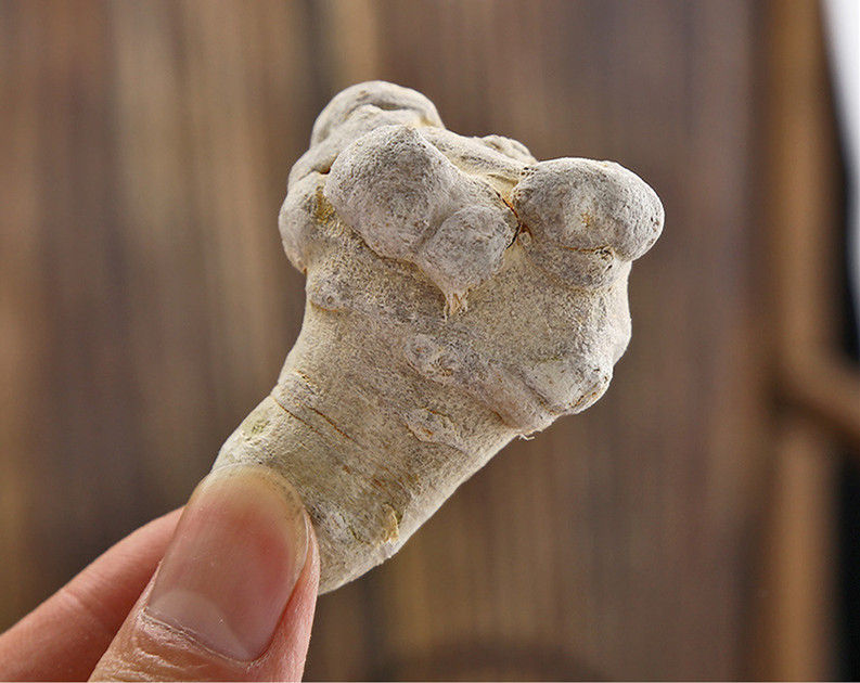 Miniaturbild: San Qi (Radix Notoginseng),Chinese Herbal Tea Wholesale