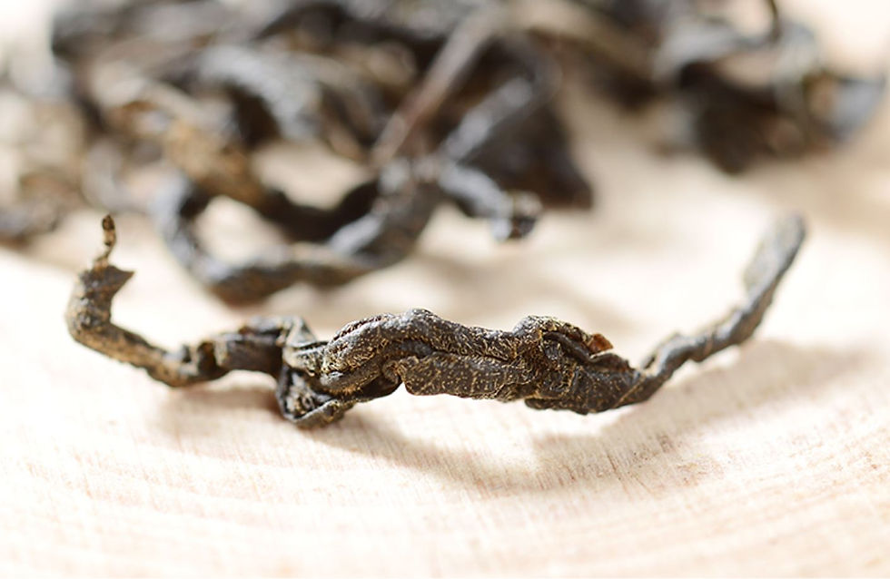 Miniaturbild: Cyclocarya Paliurus Tea, Chinese Herb  Wholesale