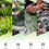 Thumbnail: Tai Ping Hou Kui Tea, High-end Handmade Green Tea