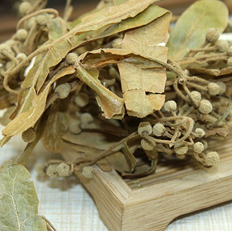 Miniatura: Tilia Europaea, Chinese Herbal Tea Wholesale