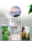 Thumbnail: Mt.Jiuhua Buddha Tea/Jiuhua Fo Cha,Anhui Green Tea