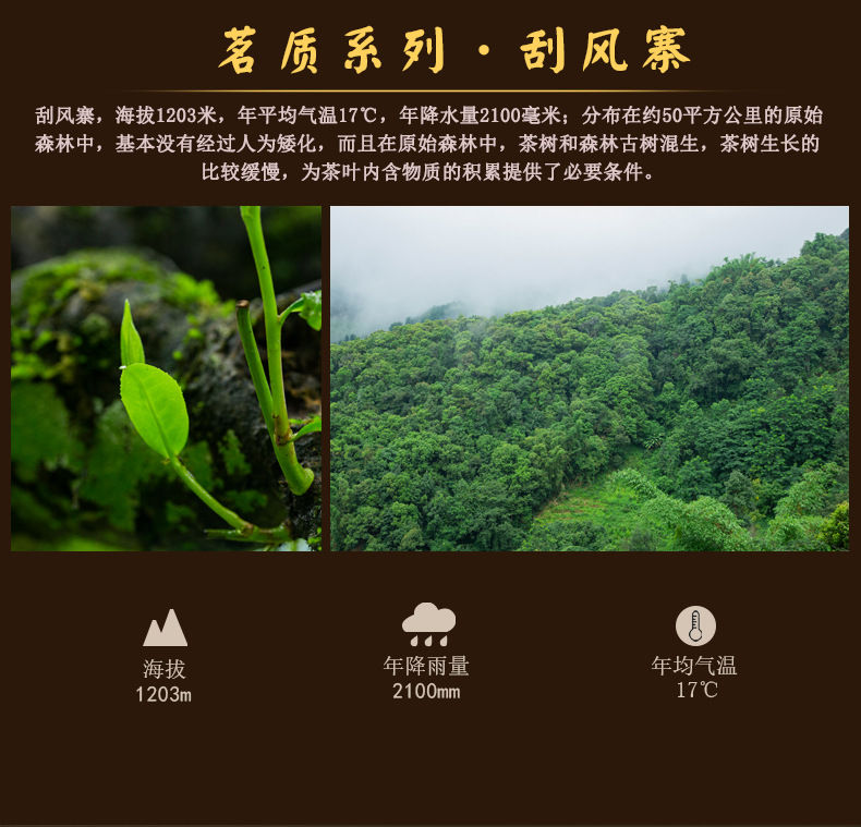 Миниатюра: Pu-erh Tea Cake/Pu-erh Qi-Zi Bing Wholesale