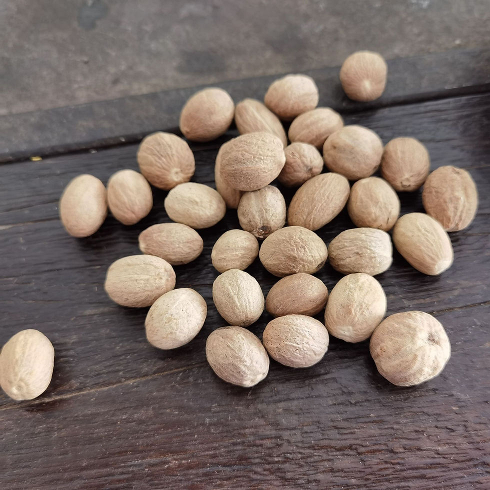 Miniaturbild: Rou Dou Kou (Semen Myristicae),Chinese Herb  Wholesale