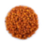 Sea Buckthorn Fruit,Chinese Herbal Tea Wholesale