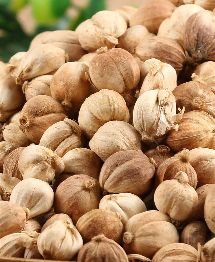 Миниатюра: Dou Kou (Fructus Amomi Rotundus),Chinese Herb  Wholesale