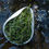 Thumbnail: Guzhu Zisun Tea, High-end Handmade Green Tea