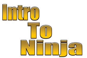Intro To Ninja.png