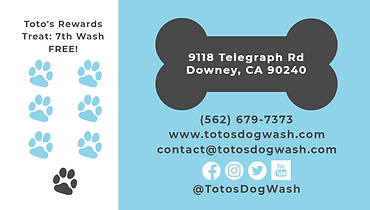 TDWG Card Back 2.1 (2).png