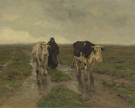 Changing Pasture