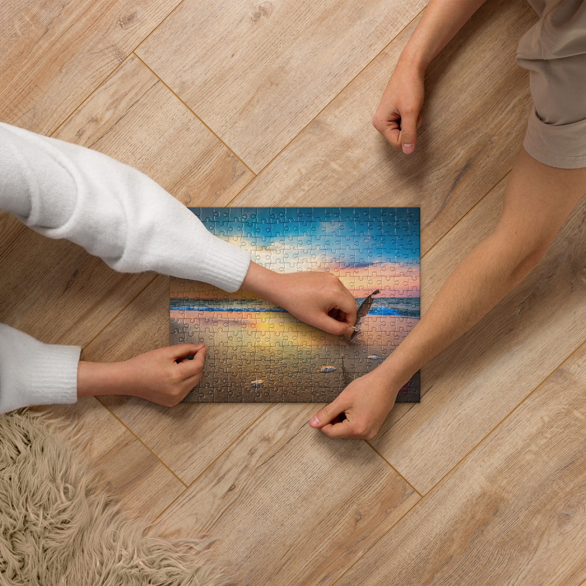 Beach Feather Birds Jigsaw puzzle