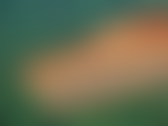 Deforestation and Its Impact on Biodiversity 🌳: