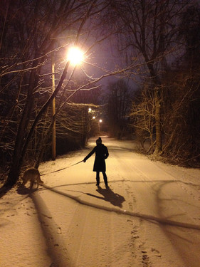 snowydogwalk.jpeg