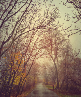 path.jpeg
