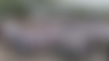 Honour Run 2024: A Salute to the Spirit of Service