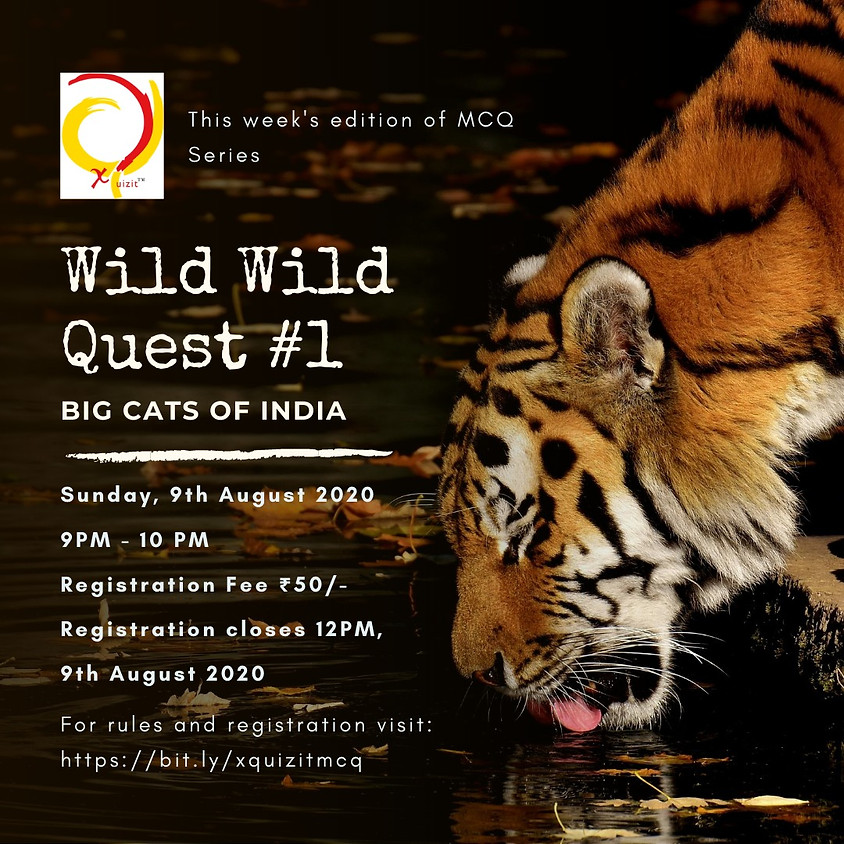 Wild Life Quest - Big Cats Of India