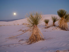 Migration : la France relève fortement l’aide au retour volontaire pour les migrants en situation irrégulière