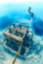 綠島潛點｜鋼鐵礁｜koh ocean 綠島自由潛水