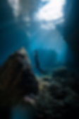 Koh ocean綠島自由潛水.webp