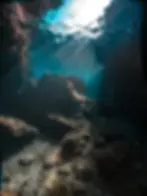 綠島潛點｜藍洞｜koh ocean 綠島自由潛水