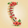 chiropractic spine with flowers.jpg