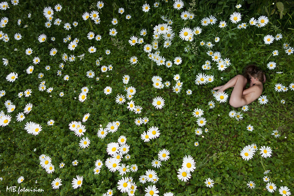 flower meadow with surprise
