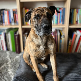 image0 (7)_edited.jpg