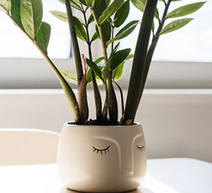 Image by Dima Solomin.jpg