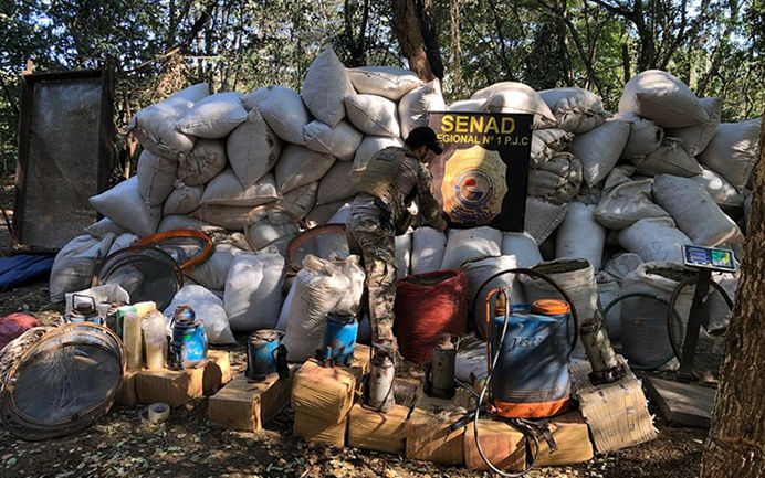Desmantelan megacampamento narco