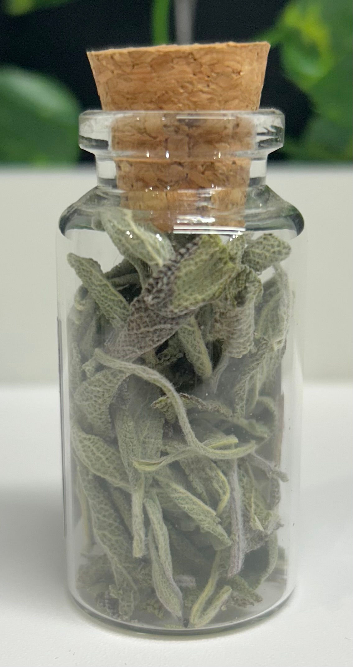 Sage