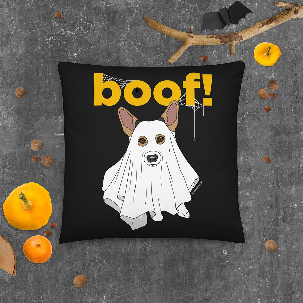 Thumbnail: Basic Boof Pillow