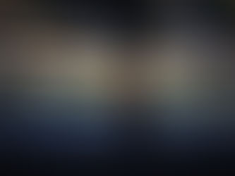 Une nuit d'hiver pas comme les autres en Vendée.. un matin magique au domaine......