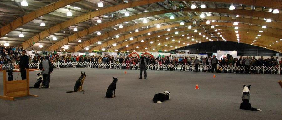 venus+exhibicion+en+corferias+de+Obedien