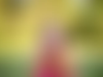 Abundance is Your Natural State, Regardless of Your Outer Conditions