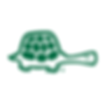 LC-AD-GREEN-TURTLE-STD.png