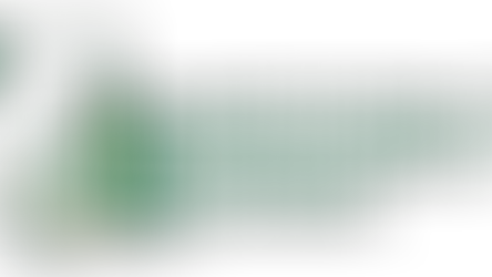 ICMSC Member invites DCS Chair to 2021 AGM