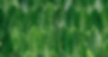 green leaves