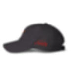 Thumbnail: Laser Kitty Dad hat