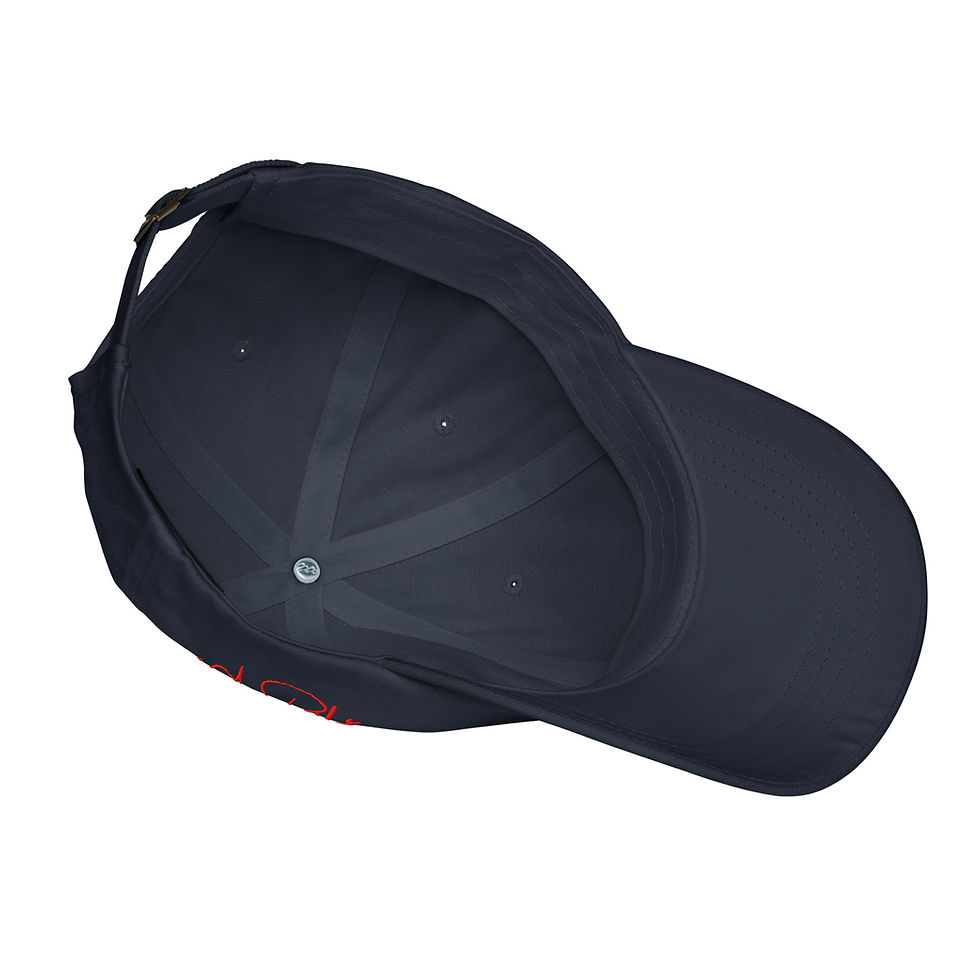 Thumbnail: Laser Kitty Dad hat