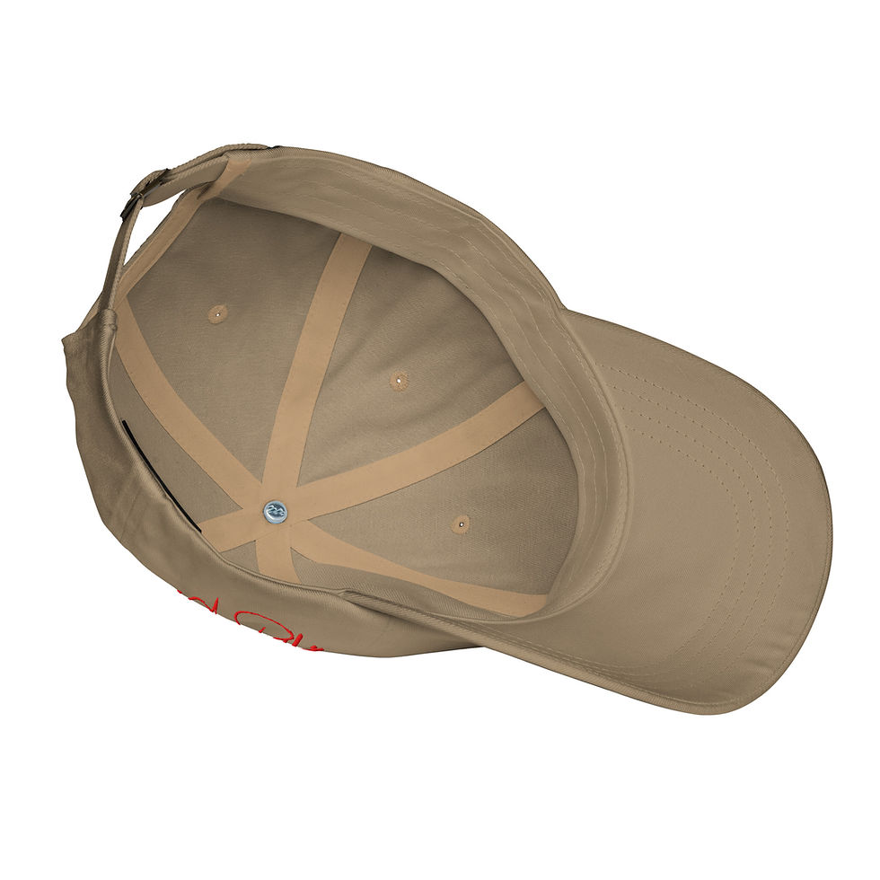 Thumbnail: Laser Kitty Dad hat