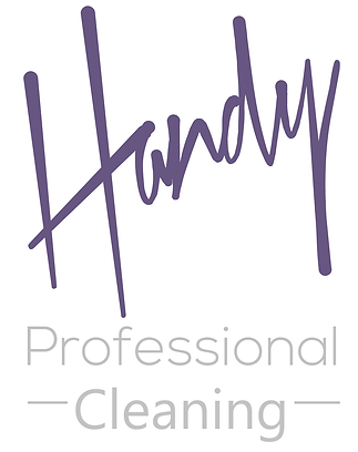 Handy Pro Cleaning Logo Sign Writing.png