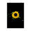 Thumbnail: 2024 Sunflower  - #2