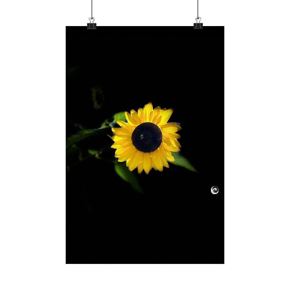 Thumbnail: 2024 Sunflower  - #2